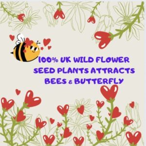 uk wildflower seed mix