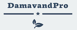 logo damavandpro seeds