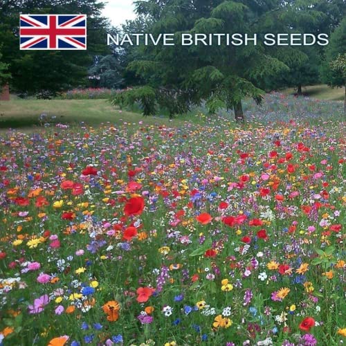 uk wildflower seed mix for cattle