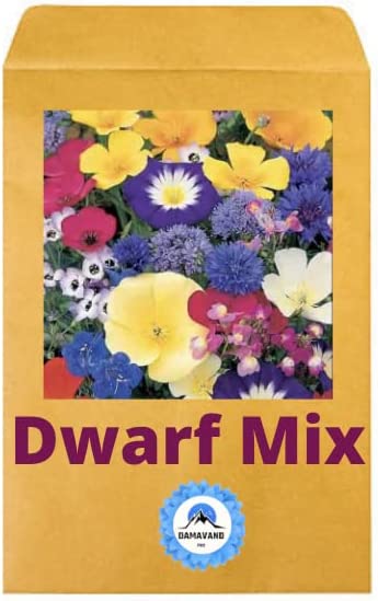 dwarf mix flower seeds