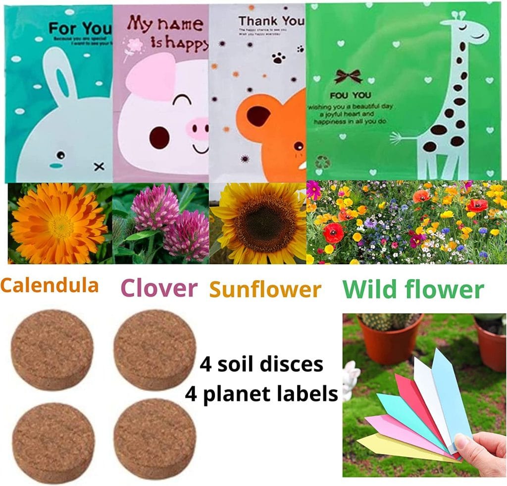 Plant Growing Kit for Kids: Clover, Sunflower, Calendula - Fun Gift!