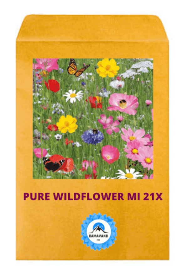 Wild flower mix