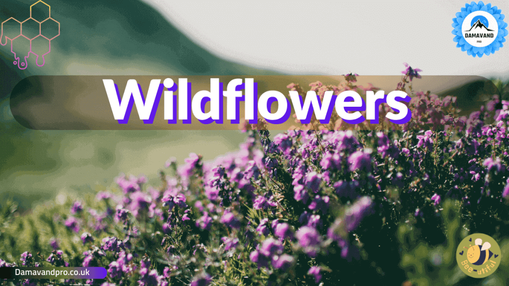 85,000 Wildflower Seeds, 35 Varietiey Wild Flowers Bulk Flower Seeds, Mix of Annual and Perennial Bulk Packet Seeds for Planting, Perennial Wild Flower Seeds, Semillas de Flores Hermosas