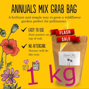 Wild Flower Meadow Seeds for Bee-Friendly, Eco-Friendly, Low Maintenance & Biodiverse Gardens 1 kg