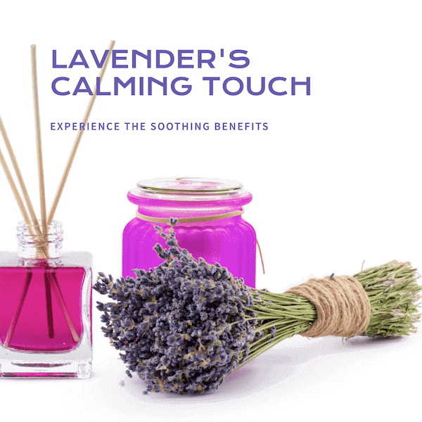 relaxing effects of lavender
