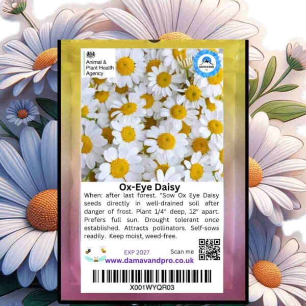 Oxeye Daisy Seeds Packet